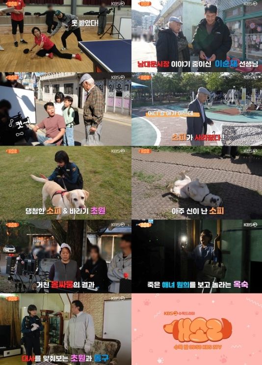 사진 제공: KBS 2TV 수목드라마 <개소리> 메이킹 영상 캡처