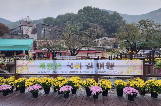 공주시, ‘제1회 계룡산 국화길 여행’ 오는 28일 개막