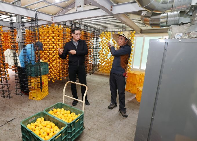 진병영 함양군수 ‘서하 곶감’ 생산 농가 방문 및 격려