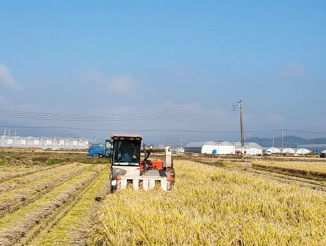함안군, 오는 18일부터 공공비축미곡 건조벼 매입 실시