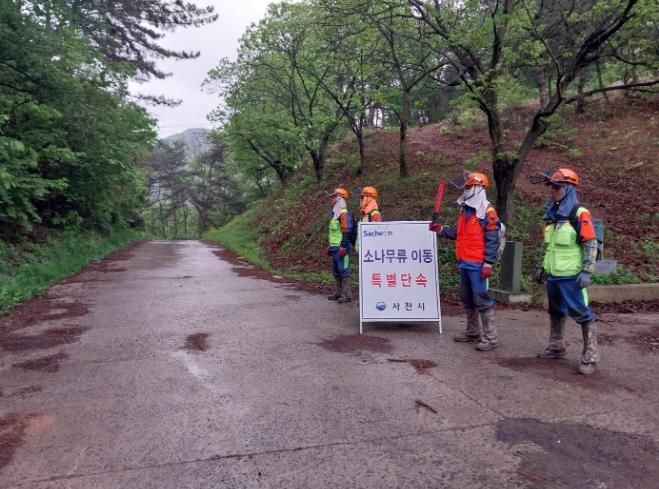 사천시, 가을철 소나무류 불법이동 특별단속