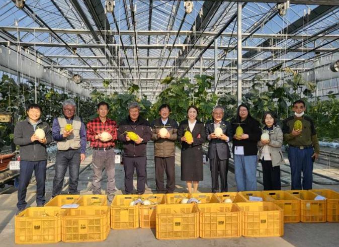 창녕군농업기술센터 실증시범포 생산 멜론 나눔