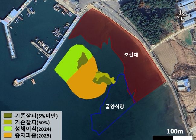 경남 사천시에 2차 바다숲 조성!