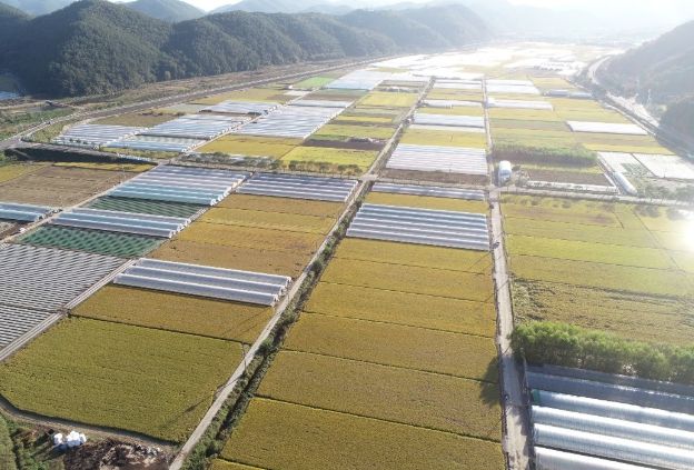 농로·비닐하우스에 세 번째 도로명 주소 부여