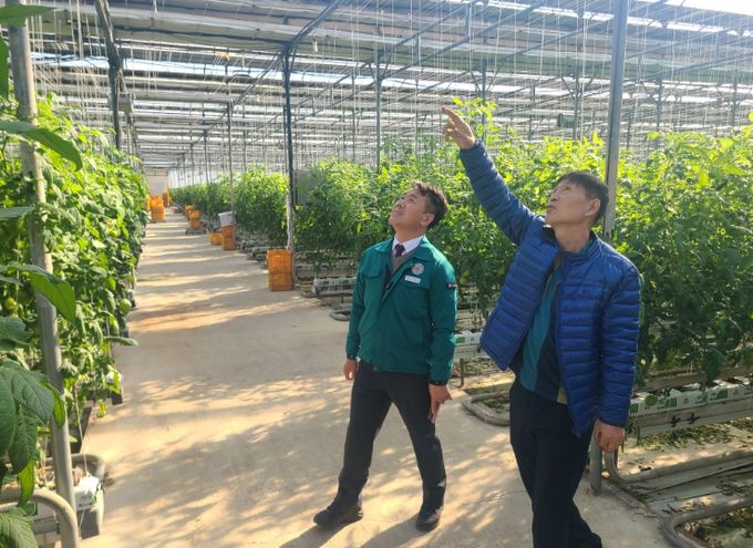 시설하우스 등 시설물 점검