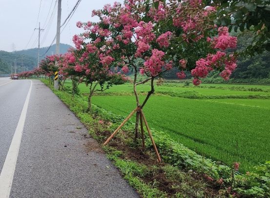 함안군, 도시숲 및 녹지공간 조성 우수기관 선정