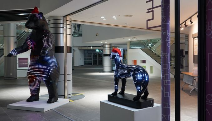 세종 도심에 펼쳐진 야간 동물원, 연말 분위기 물씬