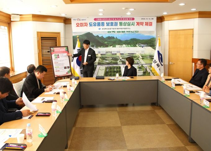 경북도, 오미자 신품종 통상실시로 품종보급 확대