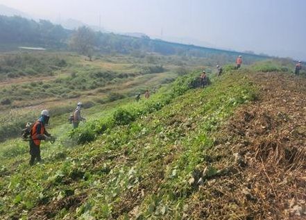 함안군 2024년 지방하천정비평가서‘우수기관’선정