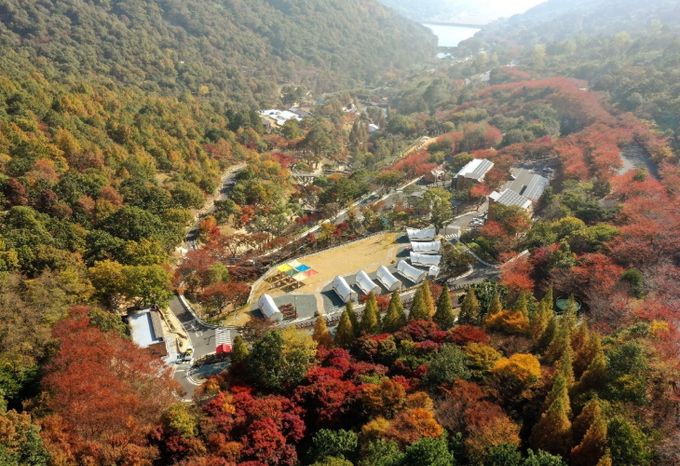 월아산 숲속의 진주, 산림청 ‘2024년 산림휴양분야’ 우수사례 선정