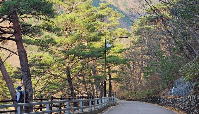 평주차장에서 대원사까지 2㎞ 구간