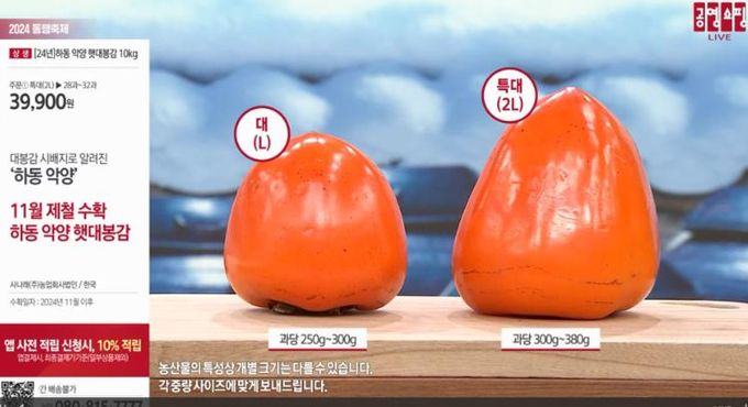 공영홈쇼핑 1천6백만 원 비용으로 1억 1천5백만 원 매출 신기록 달성