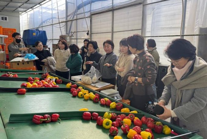 진주시, 학교급식 영양교사들과 농산물 수확 체험행사 가져