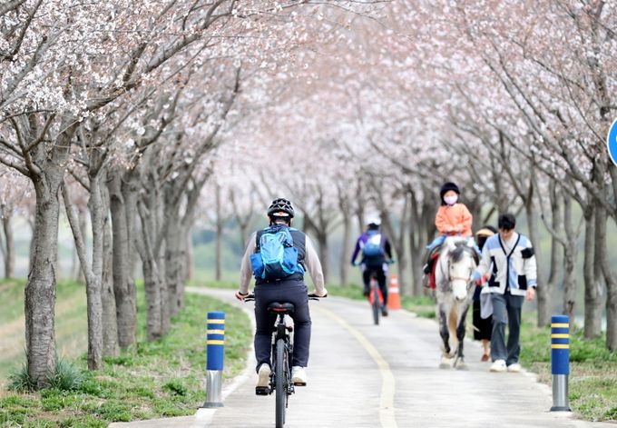 자전거 자유여행 코스 60선 최종선정, “부자설레길 달려보시죠?”