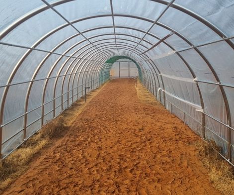 세종시설공단, 중앙공원 맨발산책길, 겨울에도 따뜻하게 즐기세요