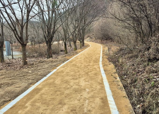 의성 고운사천년숲, 맨발걷기길 추가 조성 완료