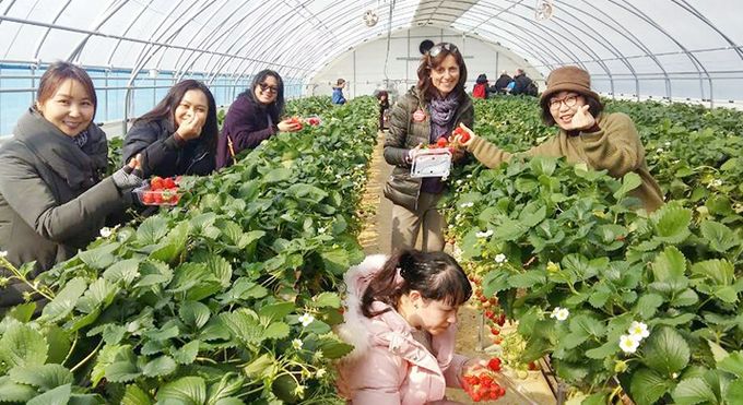 경북 4개 마을, ‘2024년 농촌관광사업’ '으뜸촌' 선정