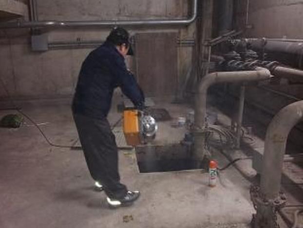 월동 모기 방제