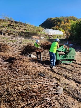의령군 “영농부산물 태우지 말고 파쇄 신청하세요”