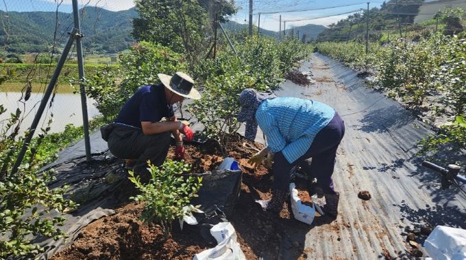 농 농업창업 및 주택구입 지원사업 신청자 모집