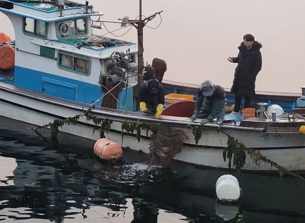 고성군, 대구 인공수정란 방류 시작