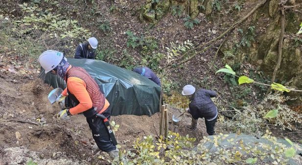 지난해 소나무재선충병 방제사업 현장