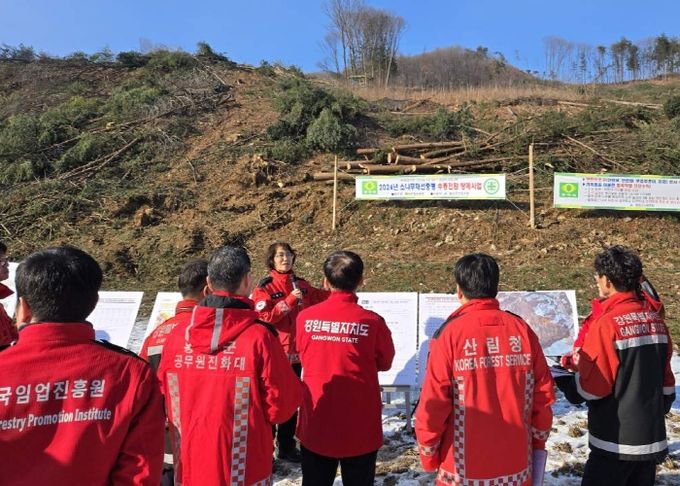 산림청, 횡성 소나무재선충병 방제 현장 방문