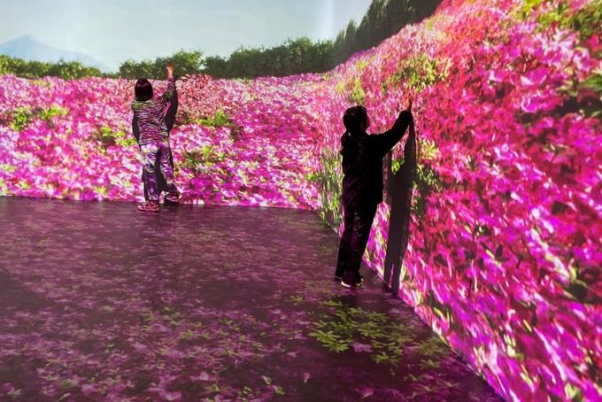 “수로왕릉 미디어아트 보러 오세요”