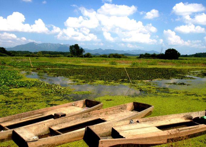 우포늪의 자연경관