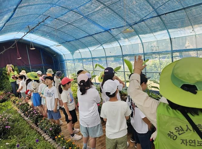 자연사랑학습장 나비 생태체험