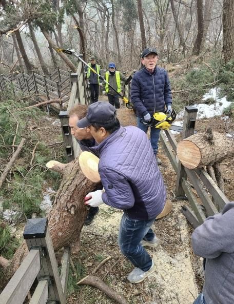 광주시 도척면, 폭설로 인한 위험 수목 임시 정비