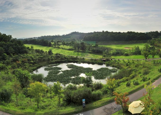 에콜리안CC 전경사진.