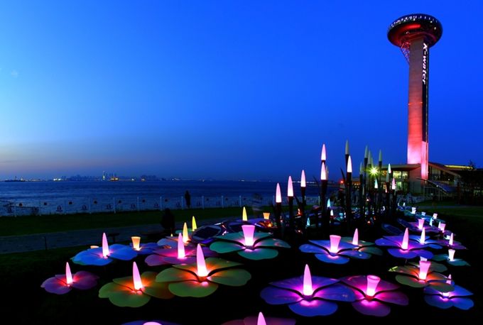 달 전망대 야경 사진.