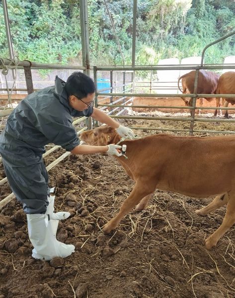 의령군, '가축응급진료 당번제' 운영