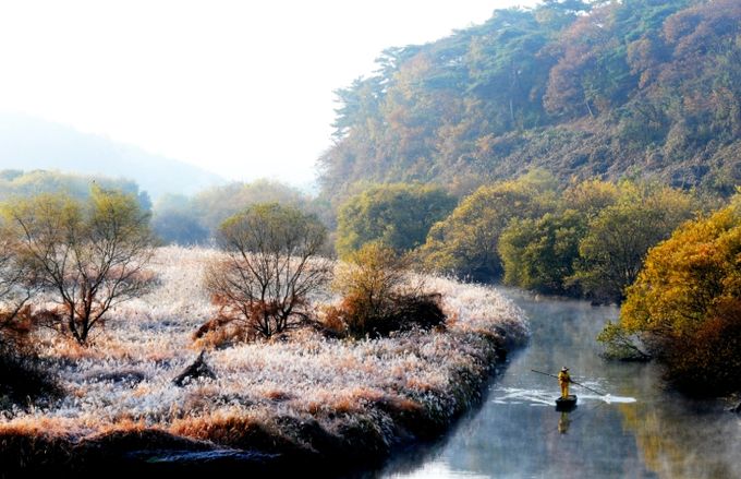 창녕군 우포늪 전경