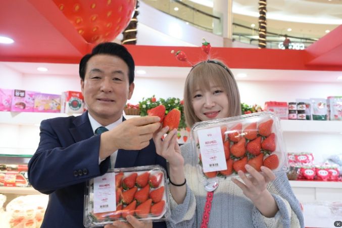 2025논산농식품 해외박람회를 찾은 인기유튜브크리에이터 쯔양과 백성현논산시장 논산킹스베리 홍보