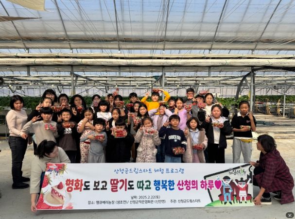 산청군 드림스타트 딸기 체험