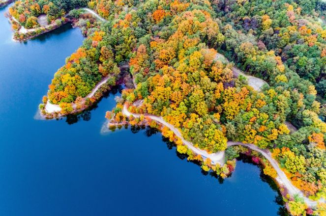 최우수-(표길영) 횡성호수길의 가을