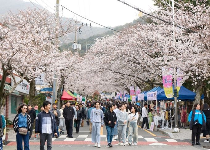 통영‘봉숫골 꽃나들이 축제’2년 연속 경남도 지역특화축제 선정