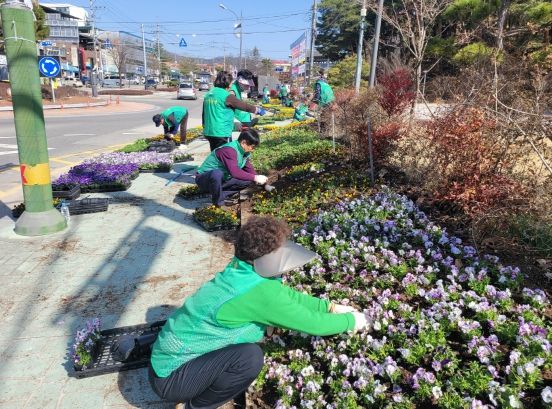 새마을운동합천군지회, 아름다운 합천가꾸기 사업 추진