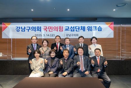 강남구의회 국민의힘 교섭단체 단체사진