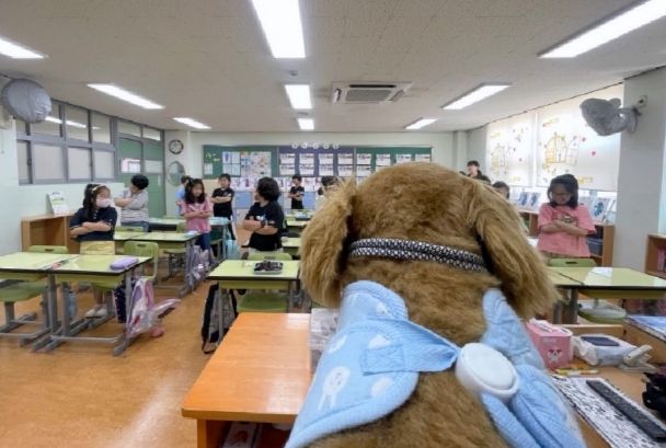 지난해 서대문구 어린이 동물보호교실 모습