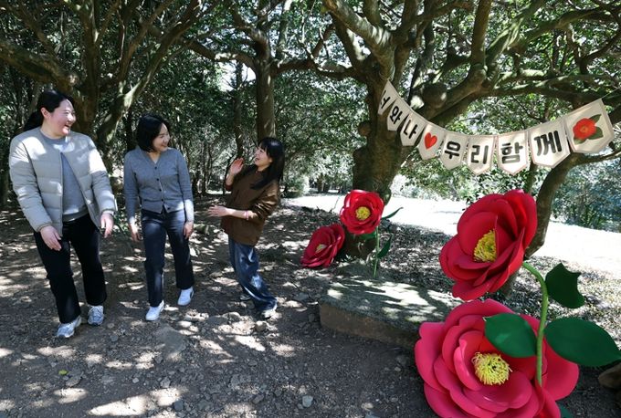 강진군, 백련사 동백 숲