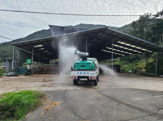 남해군, 구제역 유입 차단을 위한 총력 대응