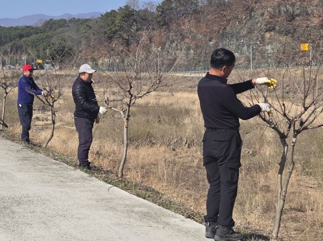 산청군 생비량면, 가로수·조경수 정비