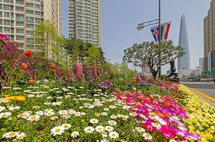 작년 4월 올림픽로 중앙분리대에 조성된 화단(좌)