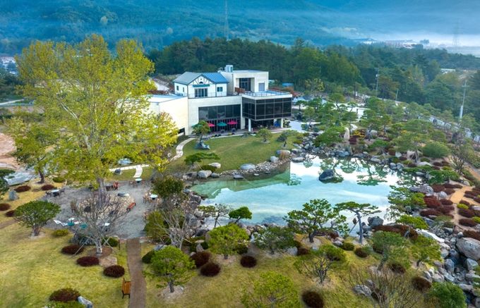 유니크베뉴- 구례 반야원 플라타너스