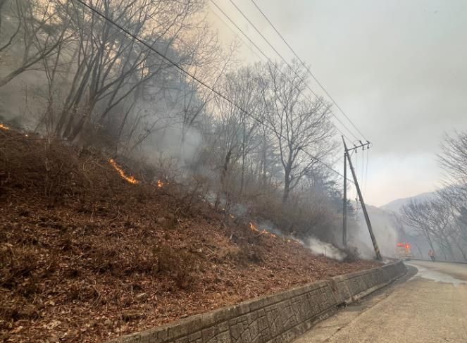 강풍으로 면소재지 2km까지 접근한 산불
