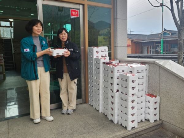 권순태 딸기 마을 대표, 산청군 산불 피해 지역 이재민을 위해 딸기 기탁