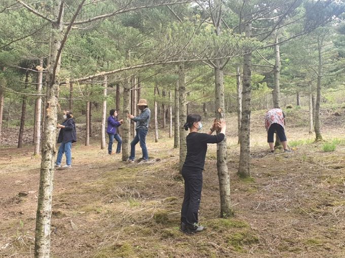 숲속 힐링, 마음을 정화하는 시간